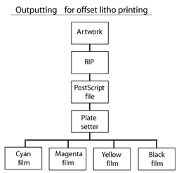 repro processes